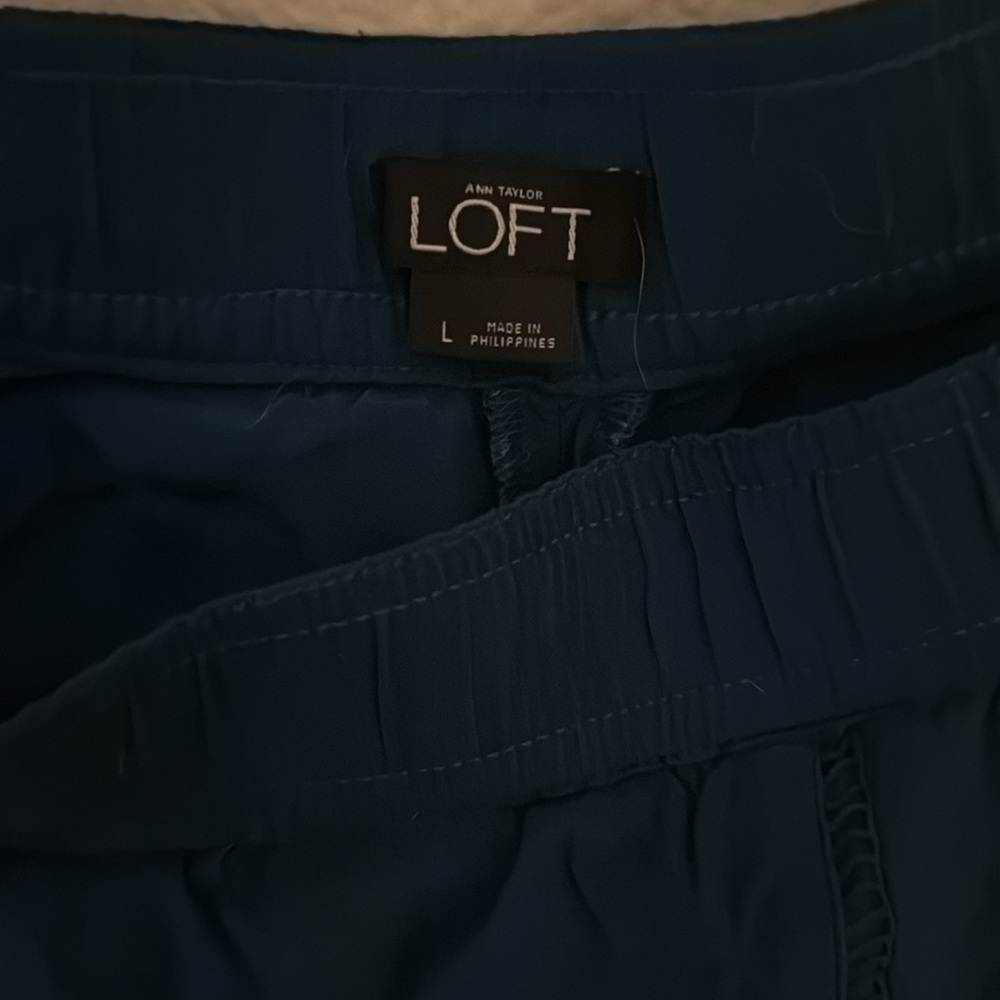 Ann Taylor Loft shorts - Picture 2 of 3